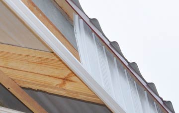 why Skitham fascia repairs are essential