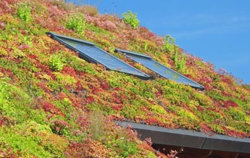 Skitham living roof systems