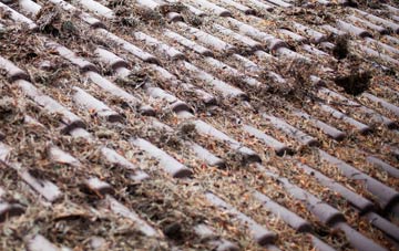 Skitham roof cleaning companies