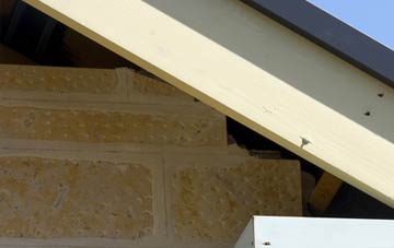 soffit repair Skitham