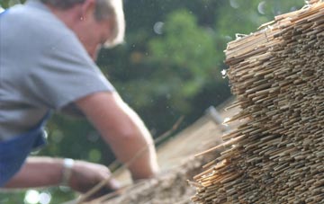 professional Skitham thatchers